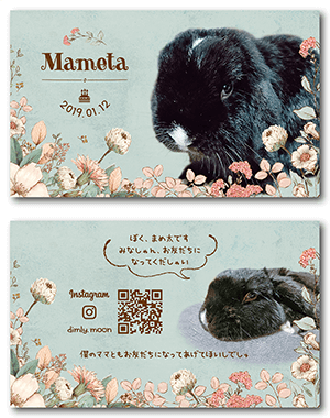 犬のペット名刺