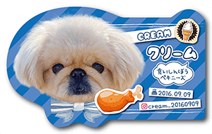 犬のペット名刺