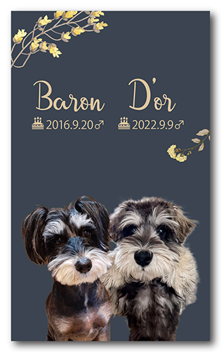 ペット名刺の表面画像