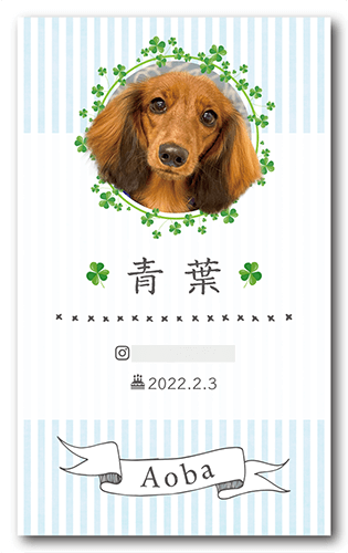 犬のペット名刺画像
