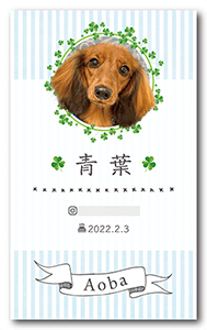 犬のペット名刺