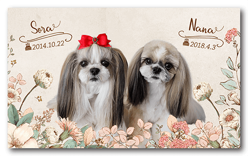 長方形ペット名刺の表面画像