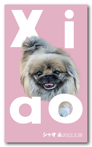 ペット名刺の表面画像