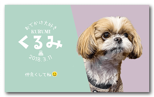 長方形ペット名刺の表面画像