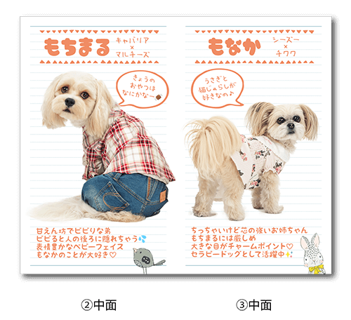 2つ折り型抜きペット名刺の中面画像