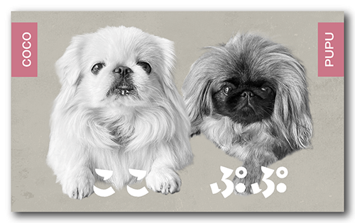 ペット名刺の表面画像