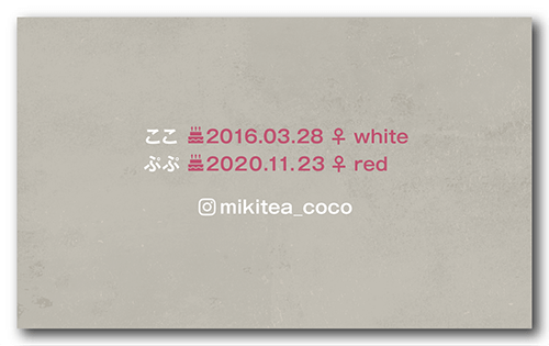 ペット名刺の裏面画像