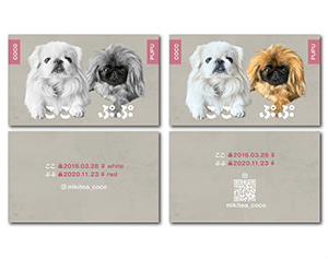 犬のペット名刺
