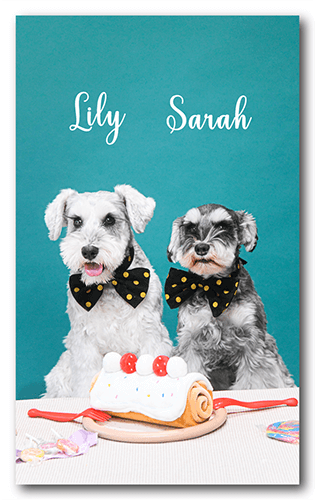 長方形ペット名刺の表面画像