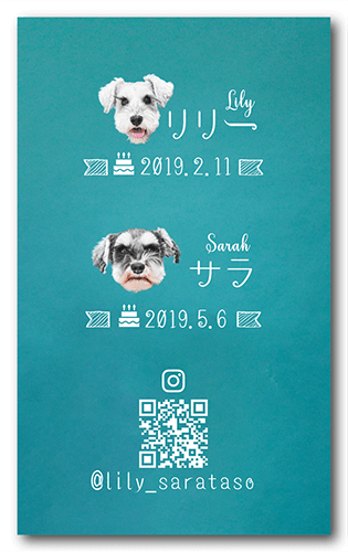 長方形ペット名刺の裏面画像