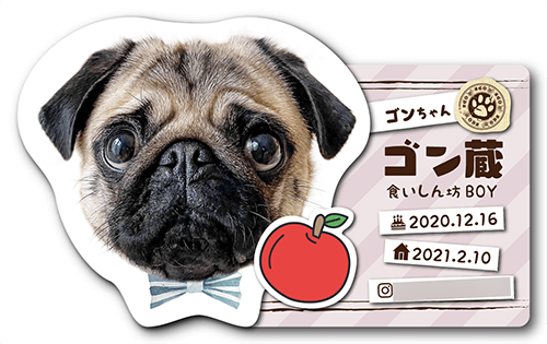 型抜きペット名刺画像