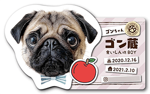 犬のペット名刺