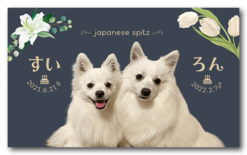 ペット名刺の表面画像