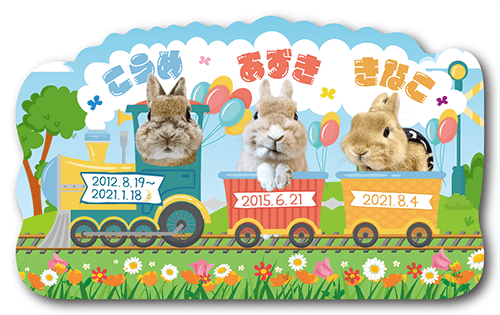 型抜きペット名刺の表面画像