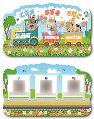 うさぎ（多頭飼い）のペット名刺