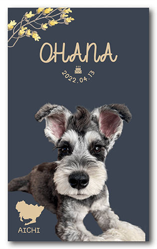 ペット名刺の裏面画像