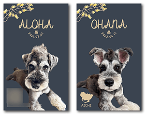 犬のペット名刺