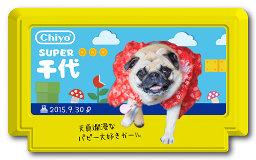 型抜きペット名刺の表面画像