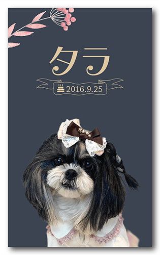 ペット名刺の表面画像