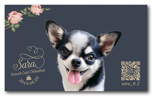 長方形ペット名刺画像