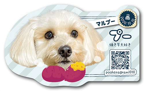 型抜きペット名刺画像