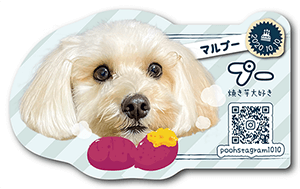 犬のペット名刺