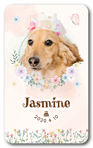 長方形ペット名刺の表面画像