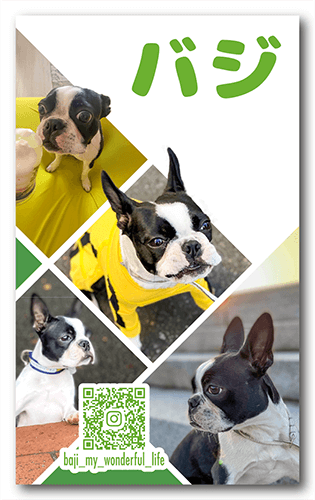 長方形ペット名刺画像