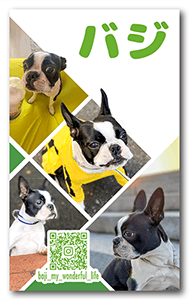 犬のペット名刺