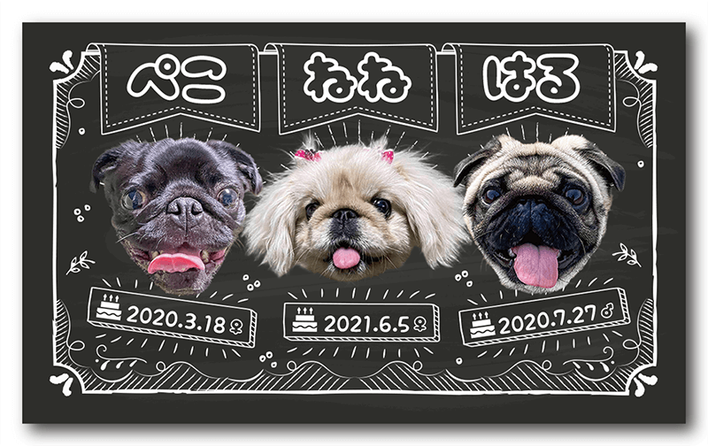 長方形ペット名刺の表面画像