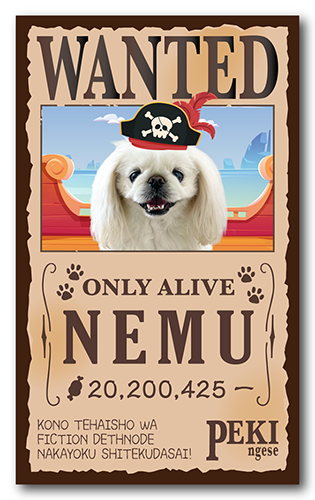 長方形ペット名刺の表面画像