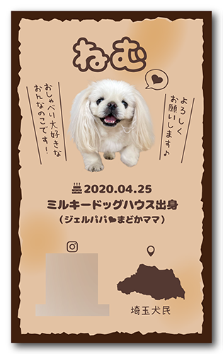 長方形ペット名刺の裏面画像