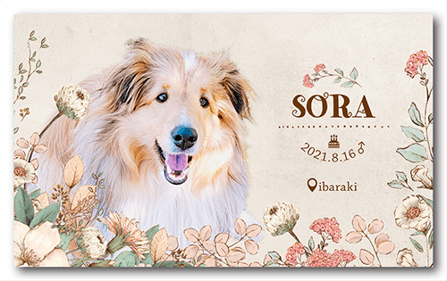 長方形ペット名刺の表面画像