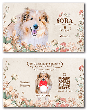 犬のペット名刺