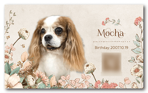 長方形ペット名刺の裏面画像