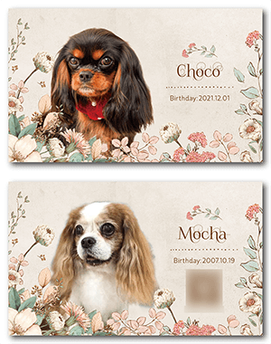 犬のペット名刺
