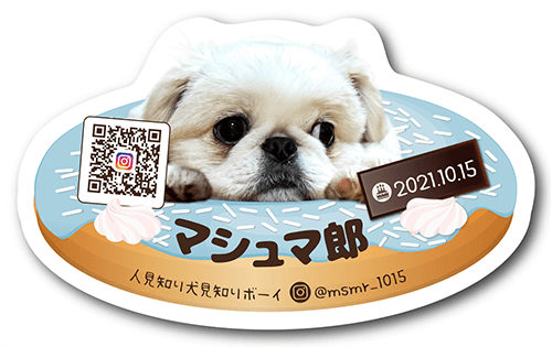 型抜きペット名刺画像