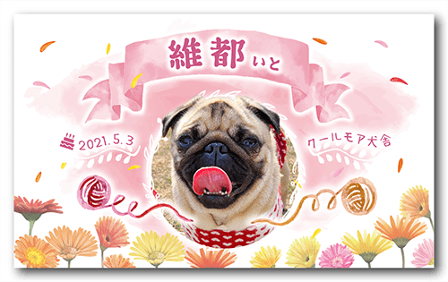 長方形ペット名刺の表面画像