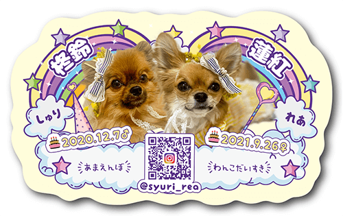 型抜きペット名刺画像