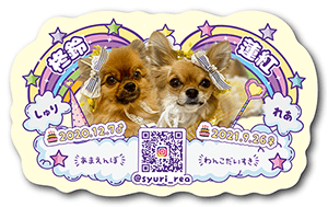 チンチラのペット名刺