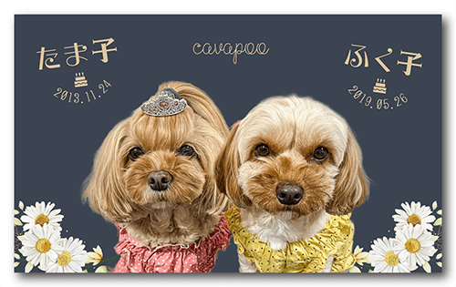 ペット名刺の表面画像