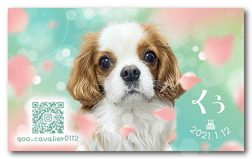 長方形ペット名刺の表面画像