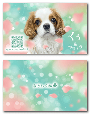犬のペット名刺