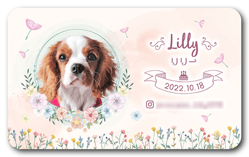 長方形ペット名刺の表面画像