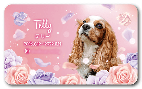 長方形ペット名刺の裏面画像