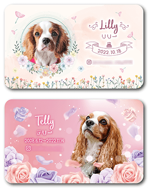 犬のペット名刺