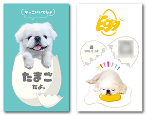 犬のペット名刺