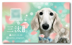 犬のペット名刺