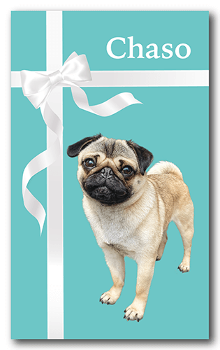 長方形ペット名刺の表面画像