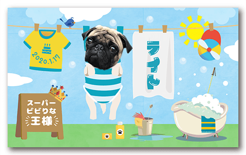 ペット名刺の裏面画像